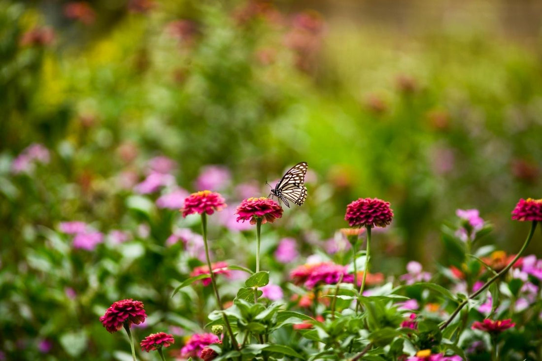 How one Winter Changed my Life!