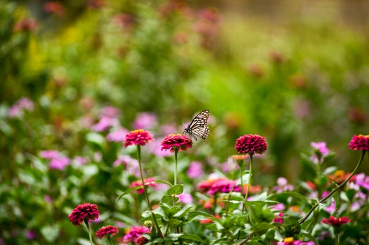 How one Winter Changed my Life!