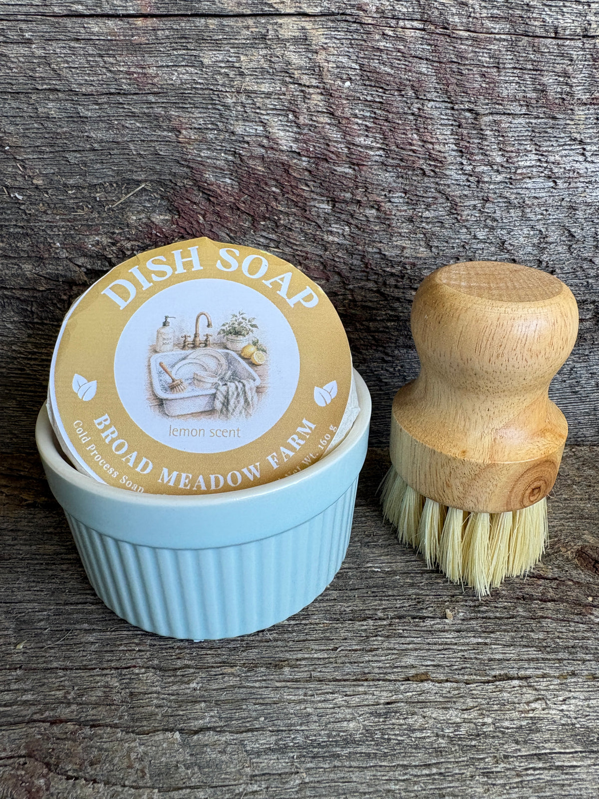 Ceramic Dish Soap Holder